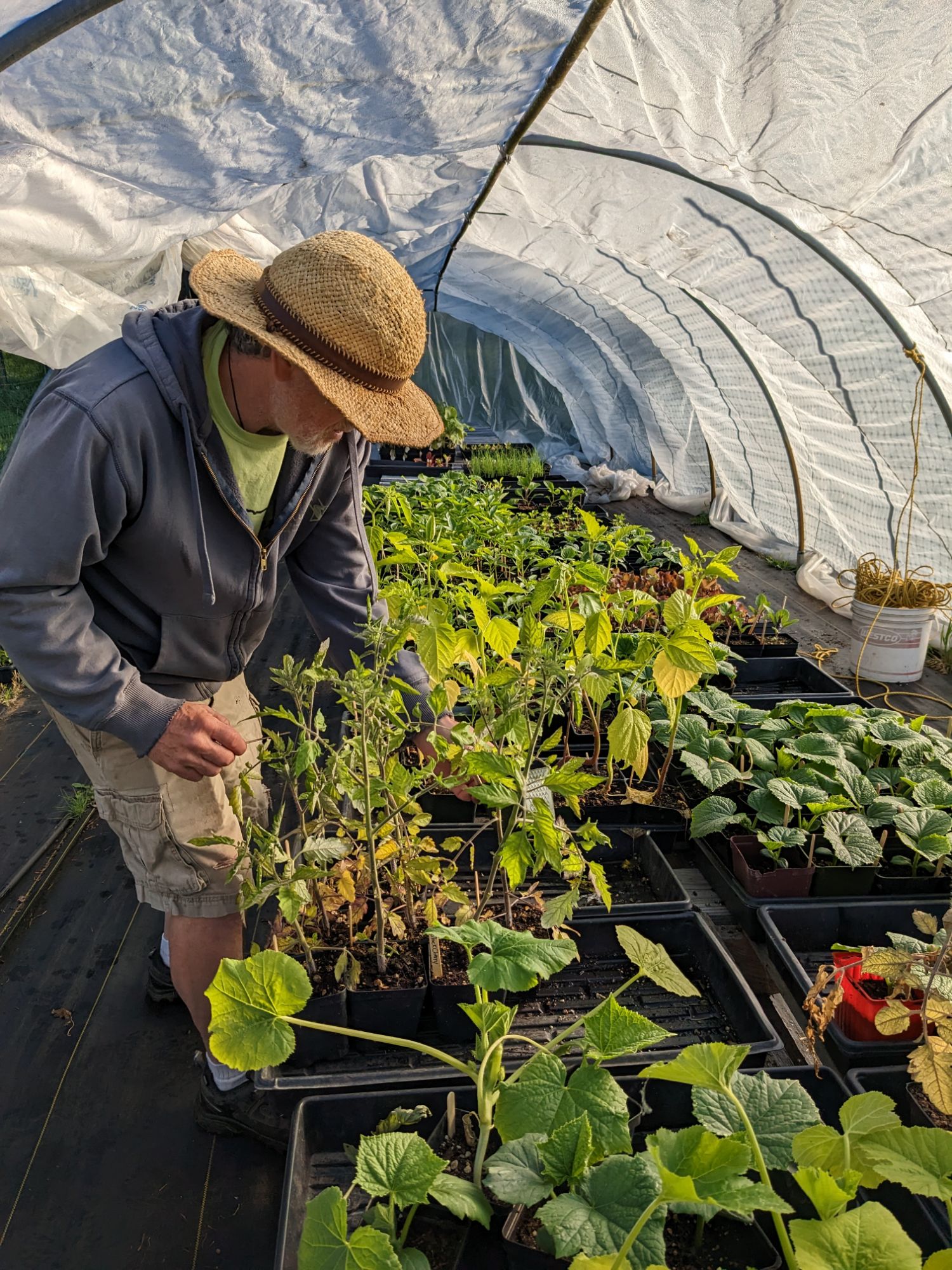 Urban Futures Farm photo